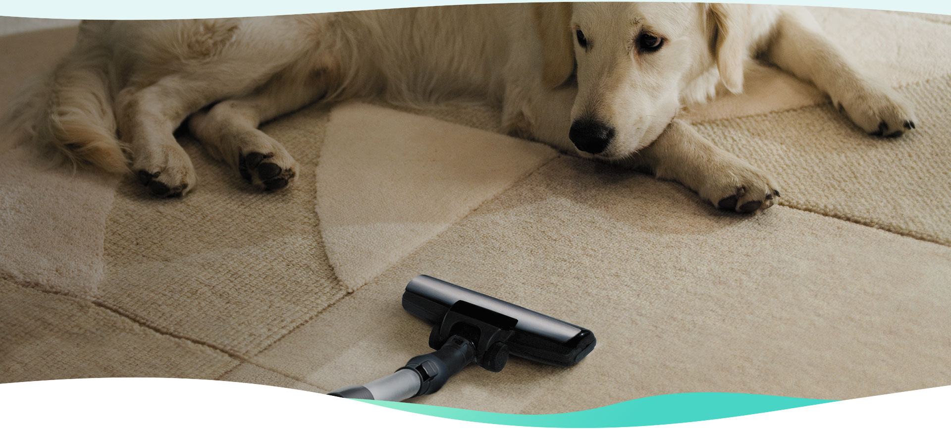 Is Your Source For Expert Carpet 2222222